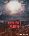 你永远打不倒我章节列表