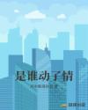 是谁动了情章节列表