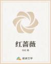 红蔷薇章节列表