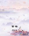 雪梅章节列表