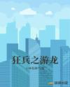 狂兵之游龙章节列表