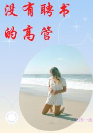 没有聘书的高管章节列表
