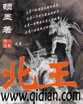 北王章节列表