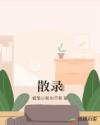 散录章节列表