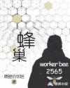蜂巢章节列表