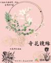 奇花镜缘章节列表