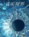 真实视界章节列表