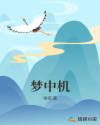 梦中机章节列表