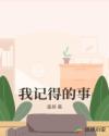 我记得的事章节列表