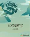 大帝瓌宝章节列表