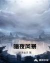 暗夜风暴章节列表