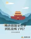 晚唐做题家会梦到私盐贩子吗？章节列表
