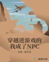 穿越进游戏的我成了NPC章节列表
