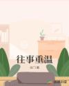 往事重温章节列表