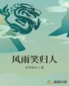 风雨笑归人章节列表