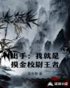 出手：我就是摸金校尉王者章节列表