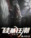 硅基狂潮章节列表