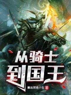 从骑士到国王章节列表