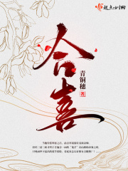合喜章节列表