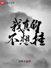 我真的不想挂章节列表
