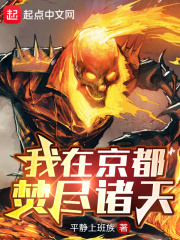 我在京都焚尽诸天章节列表