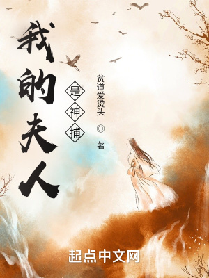 我的夫人是神捕章节列表