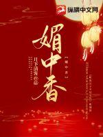 媚中香章节列表