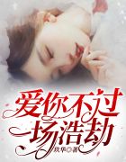 爱你不过一场浩劫乔笙章节列表