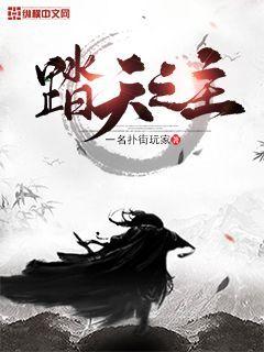 踏天之主章节列表