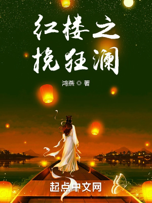 红楼之挽狂澜章节列表