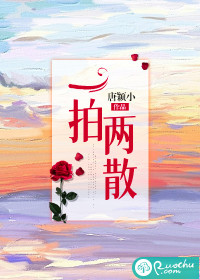 一拍两散章节列表