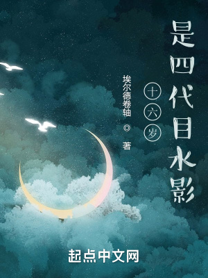 十六岁，是四代目水影章节列表