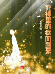死神里的疾风剑豪章节列表