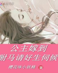 公主嫁到，驸马请好生伺候章节列表