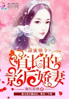 不负荣光，不负你章节列表