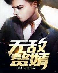 无敌赘婿章节列表