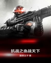抗战之血战天下章节列表