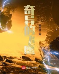 奇异的飞鹰章节列表
