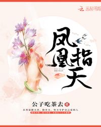 凤凰指天章节列表