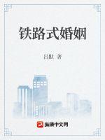 铁路式婚姻章节列表