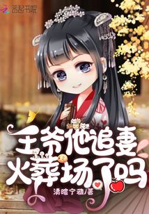 王爷他追妻火葬场了吗章节列表