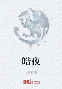 皓夜章节列表