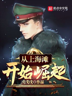 从上海滩开始崛起章节列表