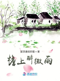 檐上醉微雨章节列表