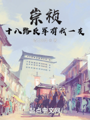 崇祯：十八路反军有我一支章节列表