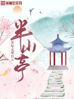 半山亭章节列表