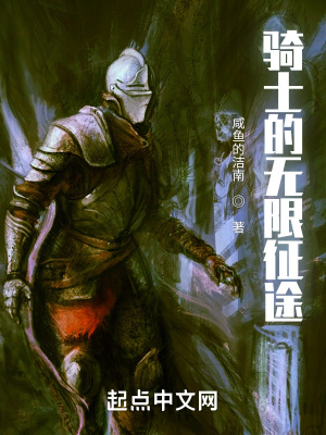 骑士的无限征途章节列表
