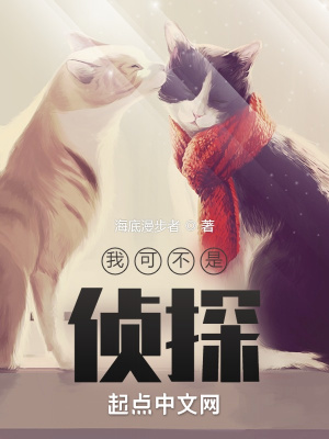 我可不是侦探章节列表
