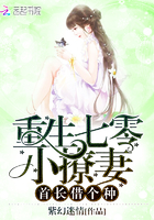 重生七零小撩妻：首长，借个种章节列表