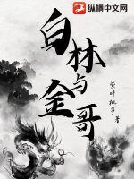 白林与金哥章节列表